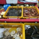 일성횟집 이미지