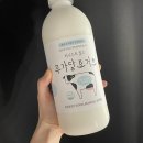 🥛 쿠팡 로켓프레시 요거트 추천 | 어니스트 밀크 무가당 요거트 내돈내산 간단 후기