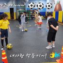 아이스포렉스 이미지