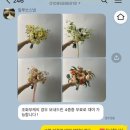 일루쏘스냅 | [피렌체] 일루쏘스냅 내돈내산 신혼여행 스냅: 피렌체 스냅 일몰/야경 2시간코스 촬영 만족 후기❤️💛
