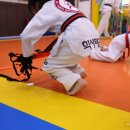 학사태권도 이미지