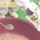 콩 생력기계화 파종기술 이미지