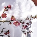 운문사와 시래호박소.삼락공원 억새