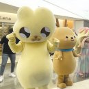 에이치앤에프 이미지