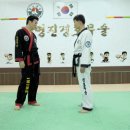 보디풀스아웃기법-경호무술 이미지