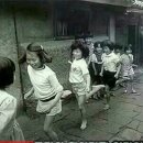 비야비야