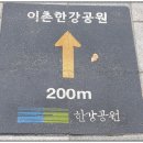 서강나루공원 횡단보도 앞 | 서울 용산구 ‘이촌한강공원’ 2025년 11월 8일