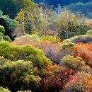 비밀의정원 이미지