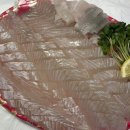 백궁자연산활어회전문 | [속초 회 맛집] 진짜 싱싱함은 수족관이 아니라 입에서 느껴져요 자연산 활어회 전문 횟집 후기
