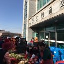 포도원 이미지