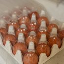 태만농장 이미지