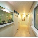 싱글하우스고시텔 앞 이미지