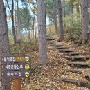 산림생태문화체험단지 | 어게인 블랙야크백두대간46-2 석병산 최단코스 등산코스 1일3산 ( 백두대간산림생태문화체험단지 )