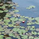 소풍정원2 이미지