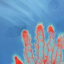 생각하는 손 이미지