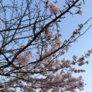 미래모가발 | 4월의 봄날_지금 이 순간을 에너지 있게