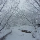 새벽라면