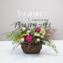 네뜨르