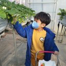 쌍둥이농장 이미지