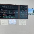 대전 칼국수 맛집 석가네손칼국수(Feat.수육 추천)