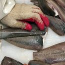 경주유통(경주마트) 쿠키뉴스