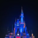 동산보청기센터 주식회사 | 일본 도쿄 디즈니랜드 디즈니씨 입장권 할인 해피엔트리 DPA 패스 정리 예상 혼잡도 꿀팁