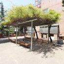 목화공인중개사사무소 이미지