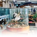 평화마을 이미지