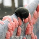 함평 부화장 이미지