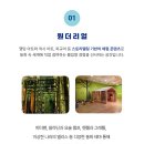 상상공작소의 매직월드 이미지