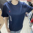 타미 이미지