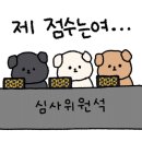가평애견동반카페아웃팅