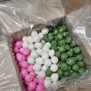 힘찬용인대 태권도장 이미지