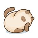 소문난 강아지 이미지