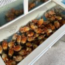 동해활어촌회포차 이미지