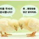 개념과원리영어,수학전문학원 이미지