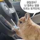 2025 빵트레일런 후기🥖🍞🥐를 가장한 데이트