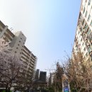 삼익 아파트 이미지