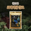 골드에너지4호 | 판도라 프리미엄 골드 사료 후기