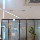 라인스튜디오 이미지