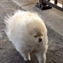 깜식당 | 2월이 빨리 지나간 것 같은 이유는 진짜 짧기 때문입니다.