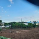 서귀포국제공인중개사사무소 이미지