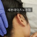 세븐노은 이미지