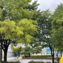 경복떡방앗간 | 서울여행 국립민속박물관 아이와 함께가기 좋은곳 실내 데이트코스 추천