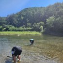 내평마을회관 이미지