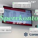 있음+친구링크] 슈페어콘토 만들기의 모든 것 - 엑스파트리오vs코라클 비교(+가격/장단점)⎟활성화와 후기