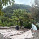 잉글랜드캠핑장