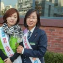 정천초 이미지