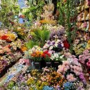 자유도매시장 이미지