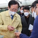 사항농장 이미지